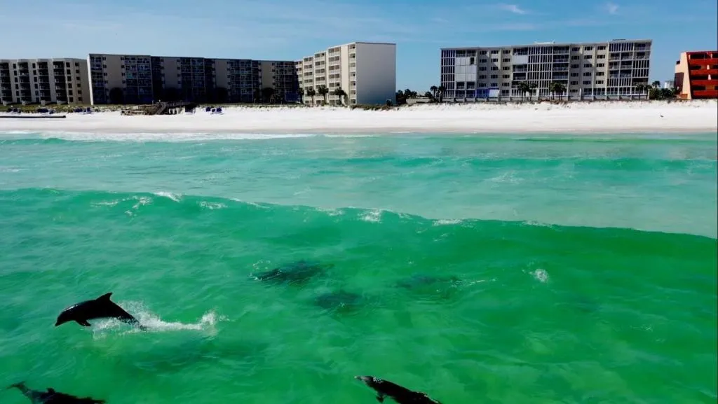 Holiday Surf and Racquet Club 403 condo, Destin (FL), United States