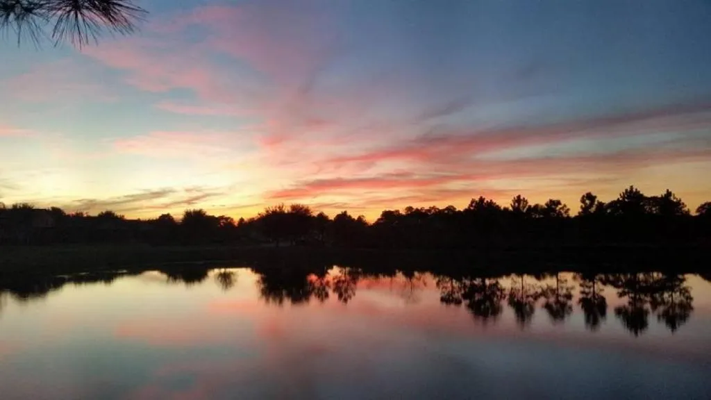 17637WW -Turtle Pond (S), Orlando, Statele Unite ale Americii