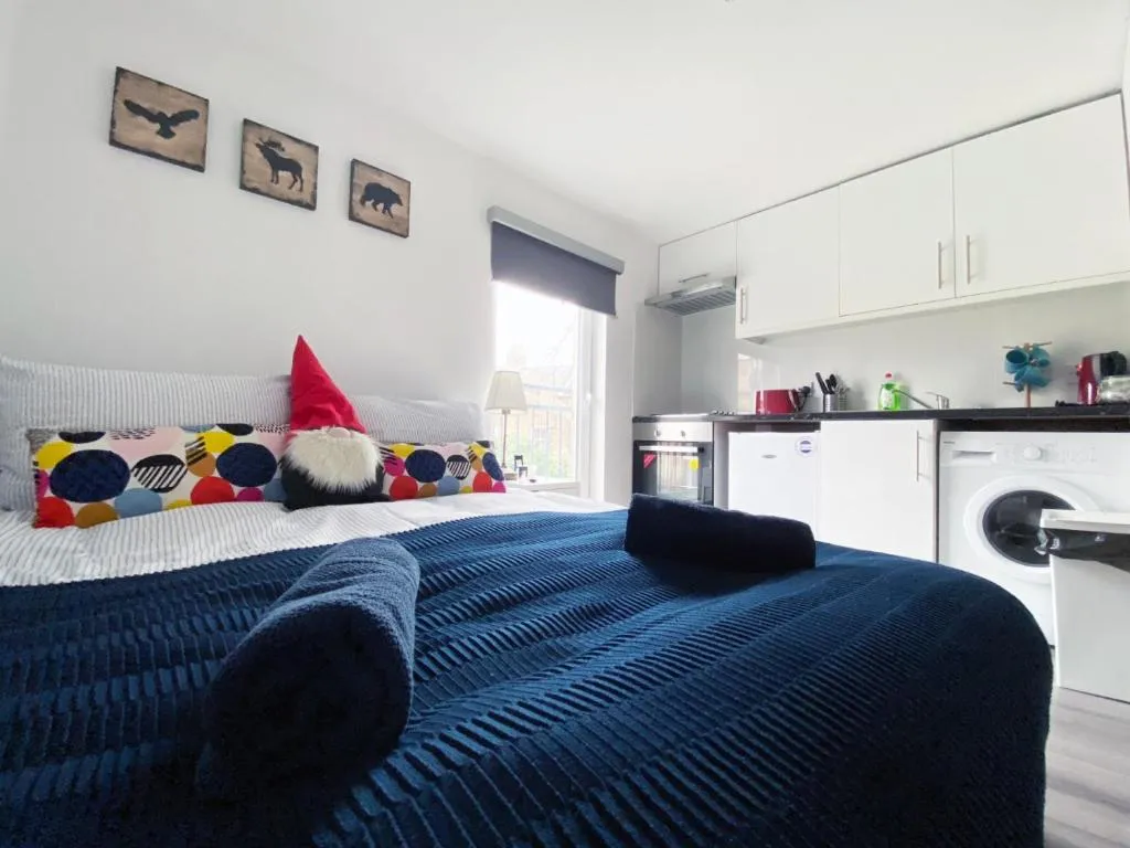 Studio Apartment in Seven Sisters, London, United Kingdom
