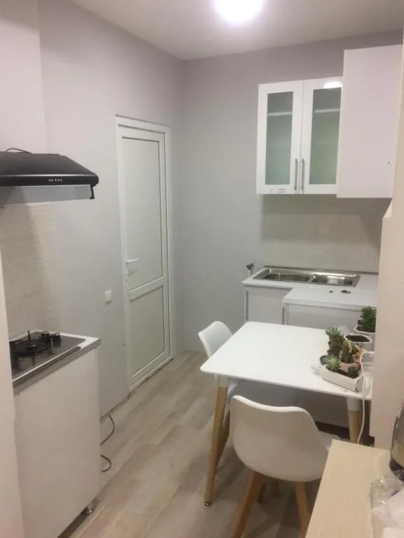 Two bedroom apartment..Metro Marjanishvili-Street-Ivane Javakhishvili 58a, Tbilisi, Georgia