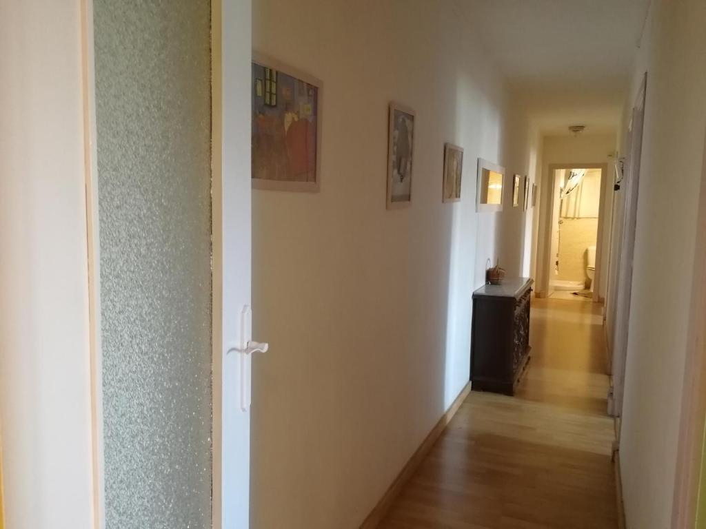 261676229