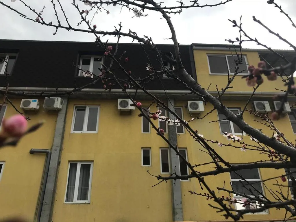 Гостевой дом Каролина, Adler, Rusia