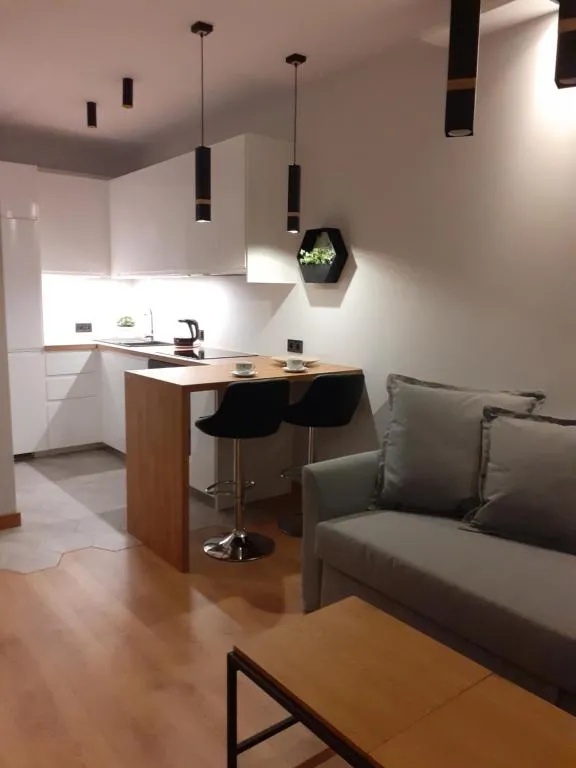 APARTAMENT DĄBSKA 24 TAURON ARENA, Krakow, Poland