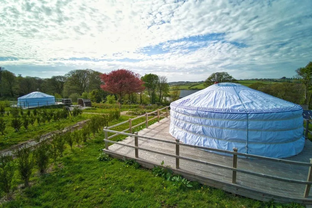 Fir Hill Glamping Yurts, Cubert, United Kingdom