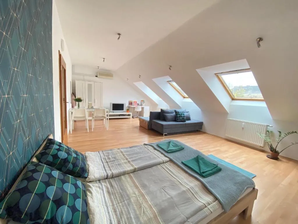 ORANGEHOMES large studio apartment Erkel street, Budapest, Hungary
