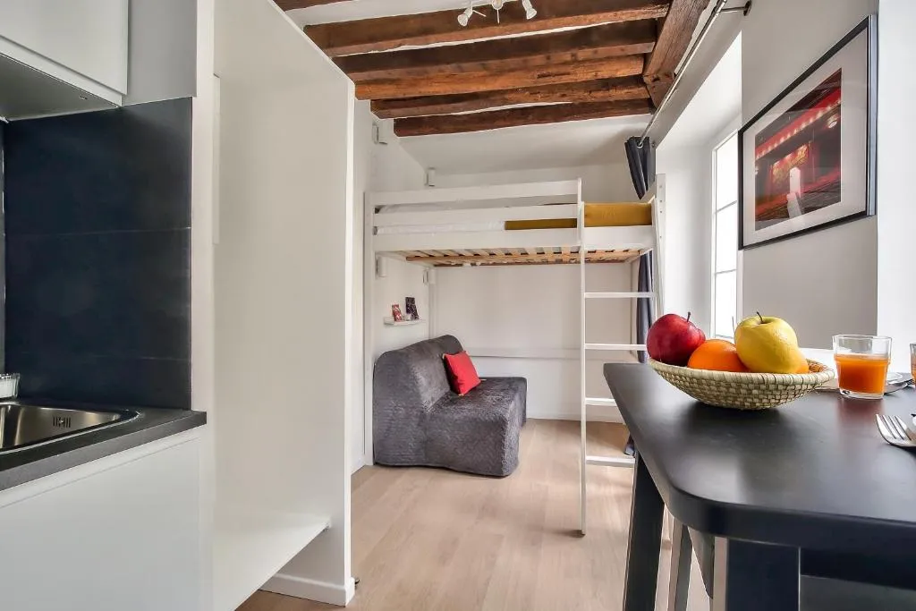 Lovely Mezzanine Studio in the Heart of Paris, Paris, Franţa