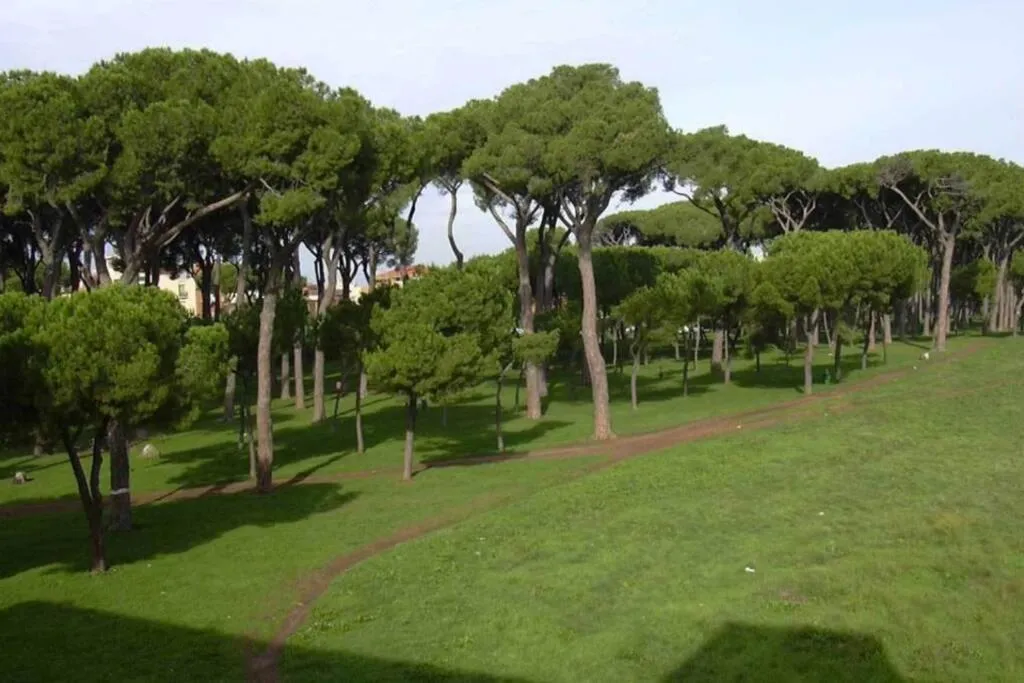 SWEET CORNELIA, Roma, Italy