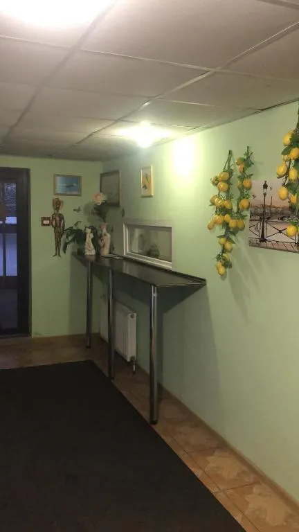 Lemon, Kudrovo, Russia