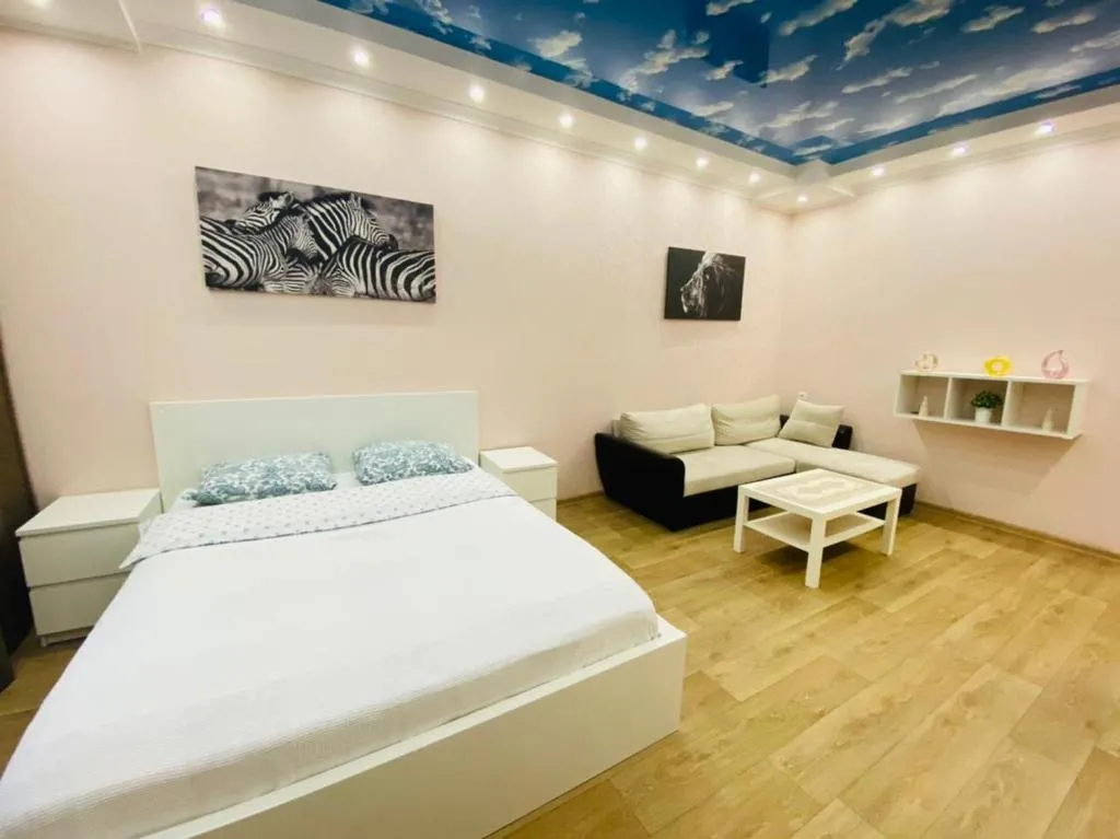 Apartment Hanaka Vladimirskaya 9, Moscova, Rusia