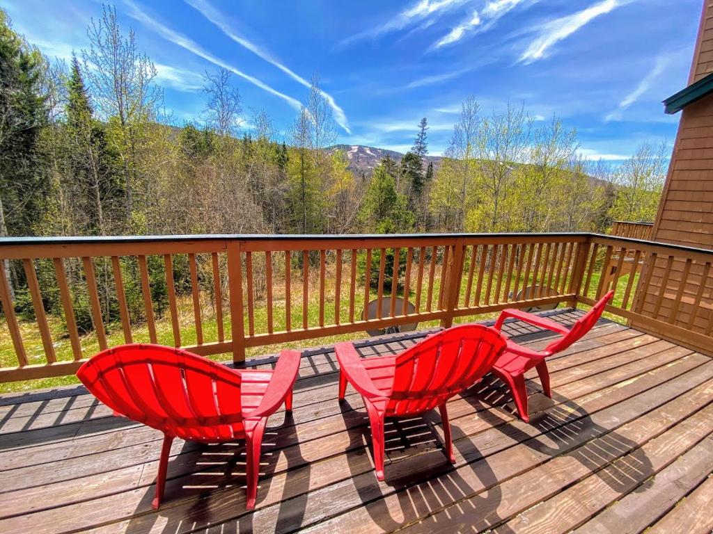 W8 Mount Washington Place Townhome, great slope views, fireplace, large deck, yard, and ping pong