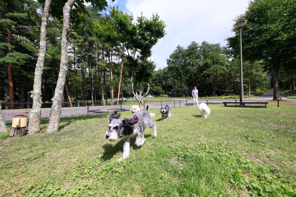 Yutorelo Tateshina Hotel with DOGS thumbnail 2