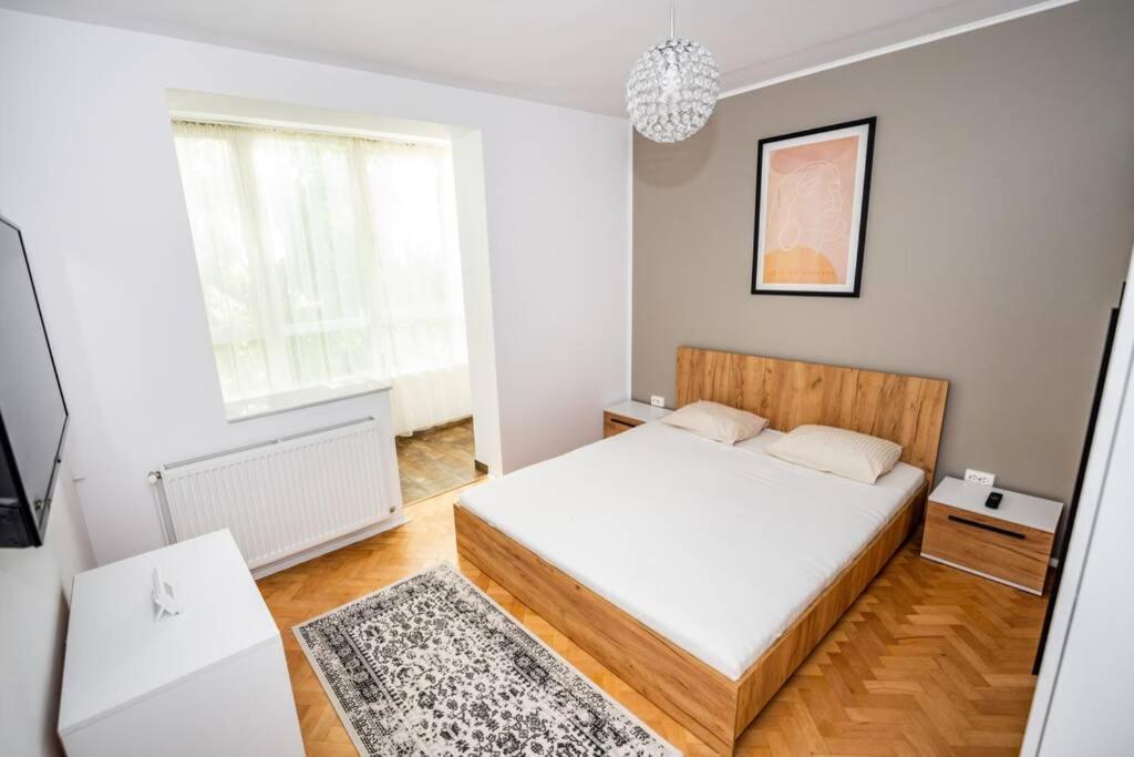 Central and cosy apartment TIMISOARA