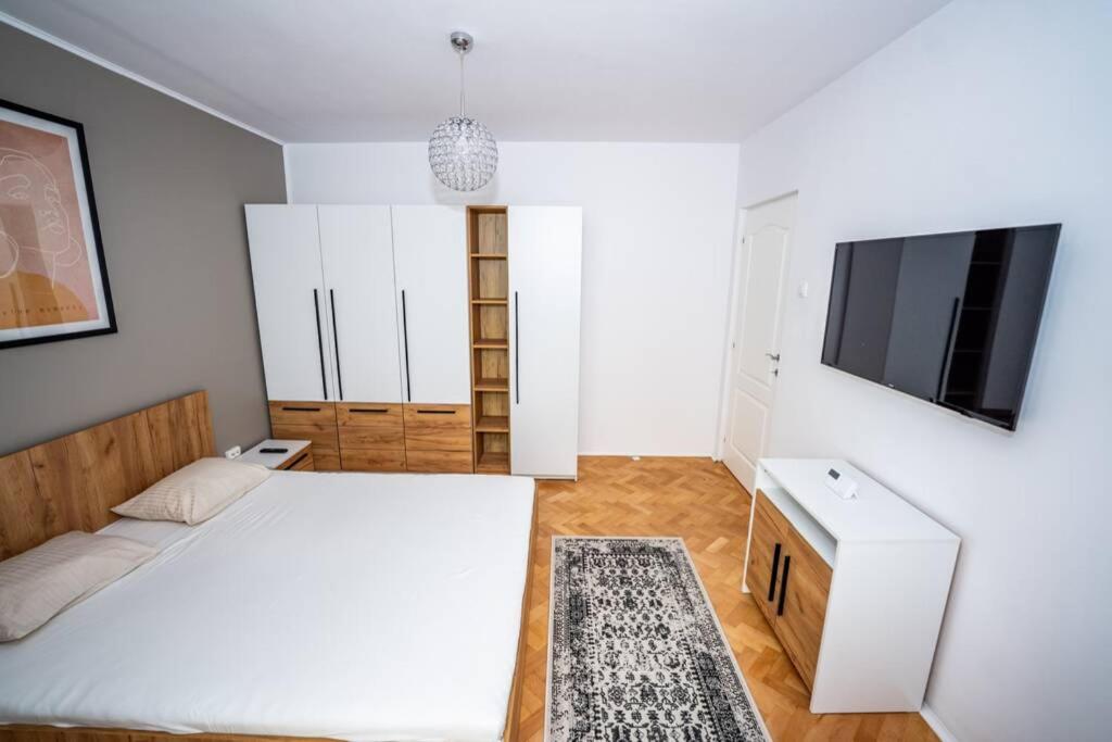 Central and cosy apartment TIMISOARA