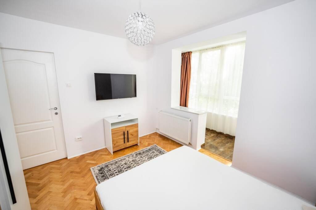 Central and cosy apartment TIMISOARA