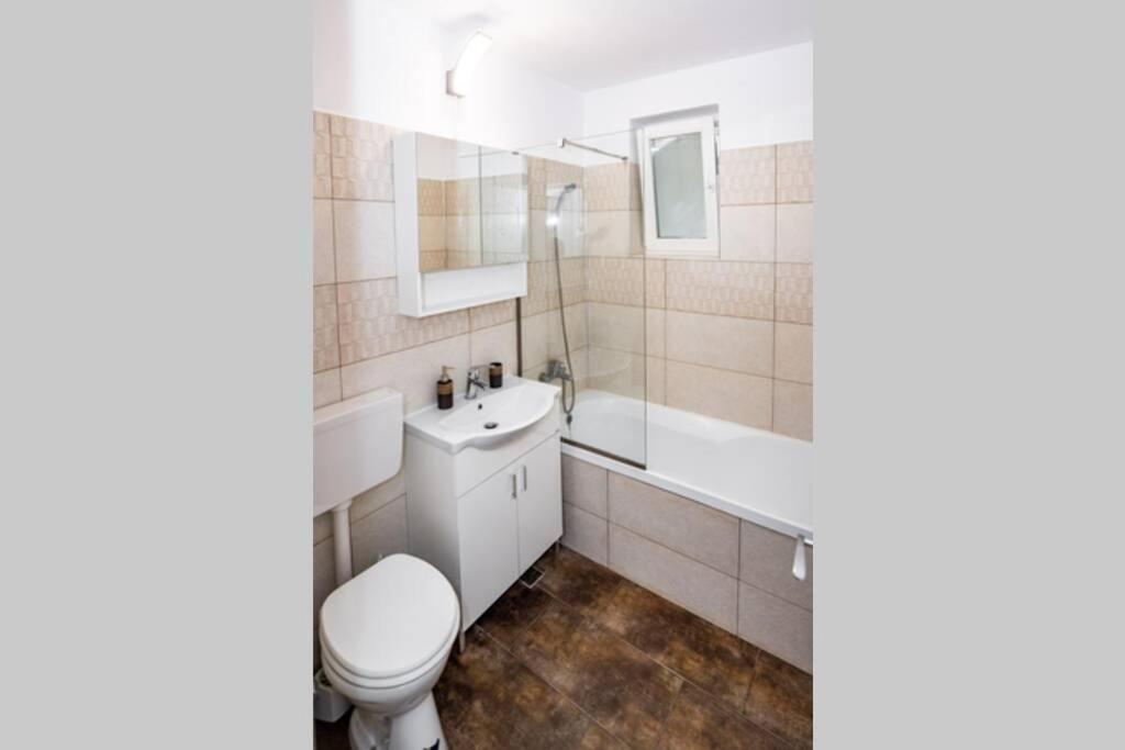 Central and cosy apartment TIMISOARA