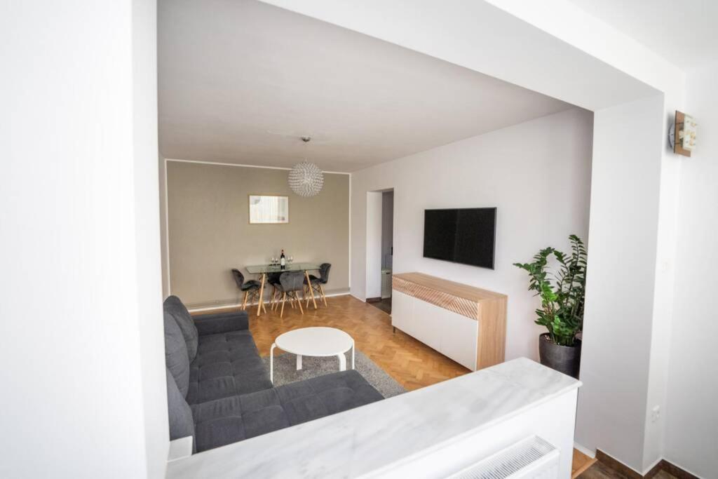 Central and cosy apartment TIMISOARA