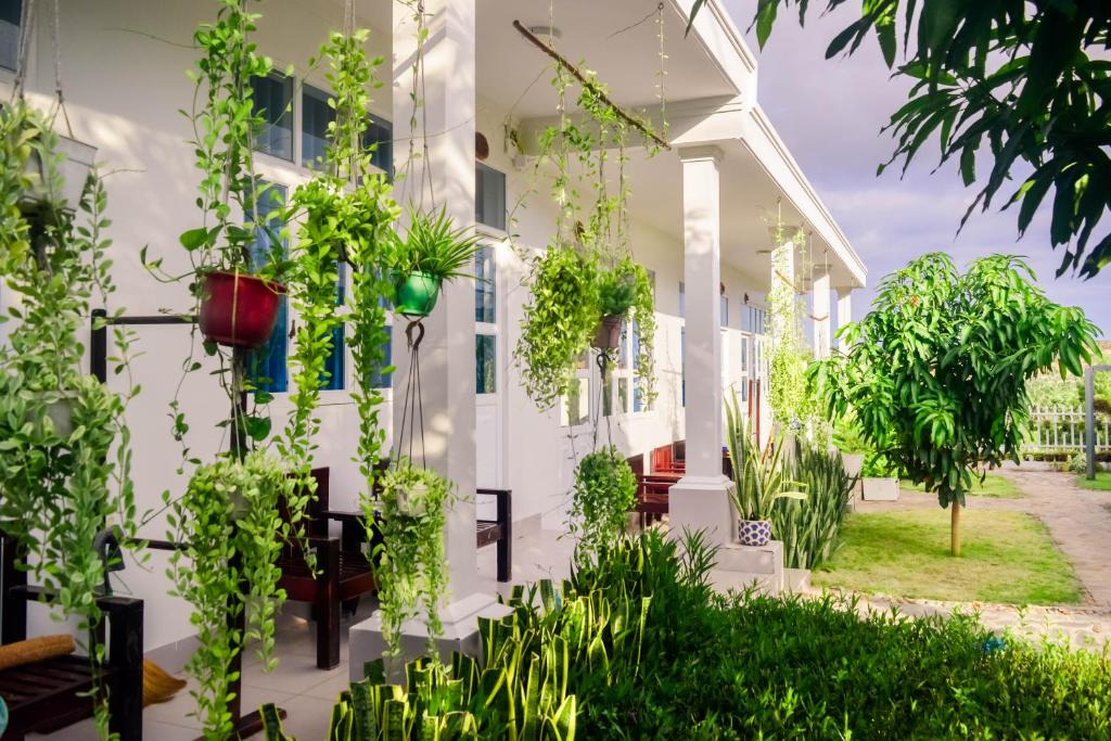 Đồi Dừa Homestay