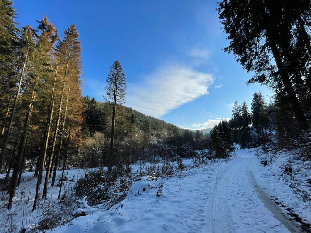 Sauerland Lodge ski & mountainbike park in nature