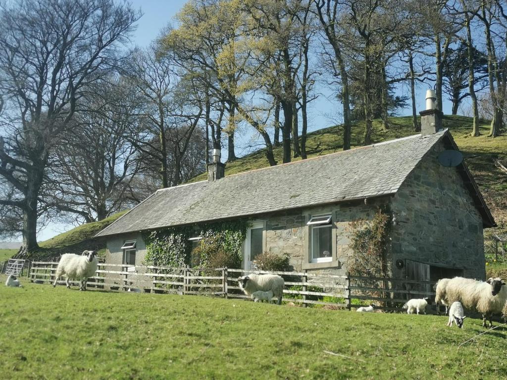 Shemore Farm Holiday Cottage