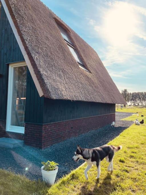 Cozy Appartment on the Farm