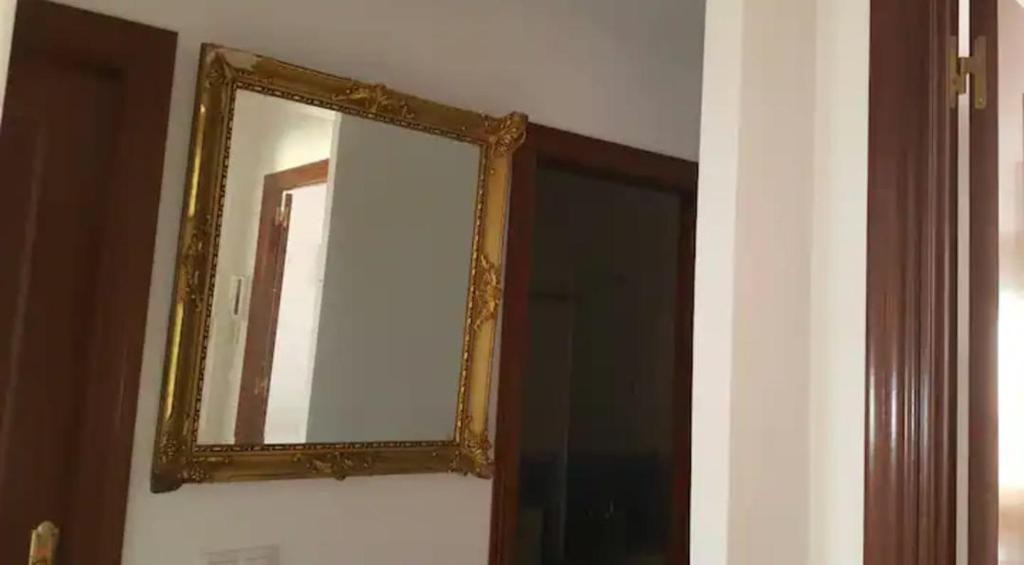 353215255