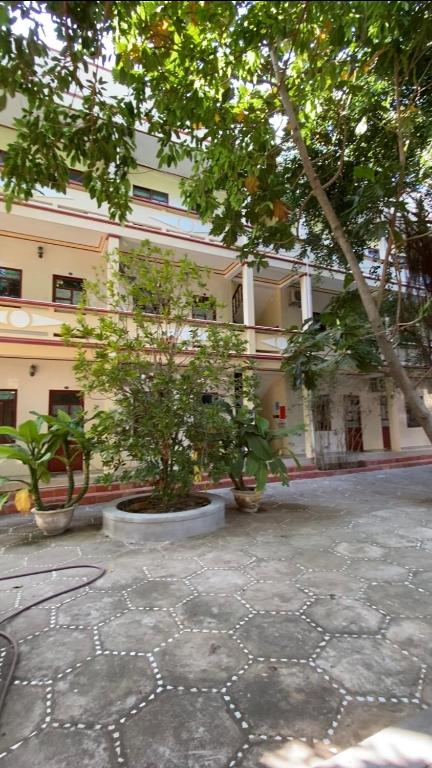 Hoa Biển Guesthouse