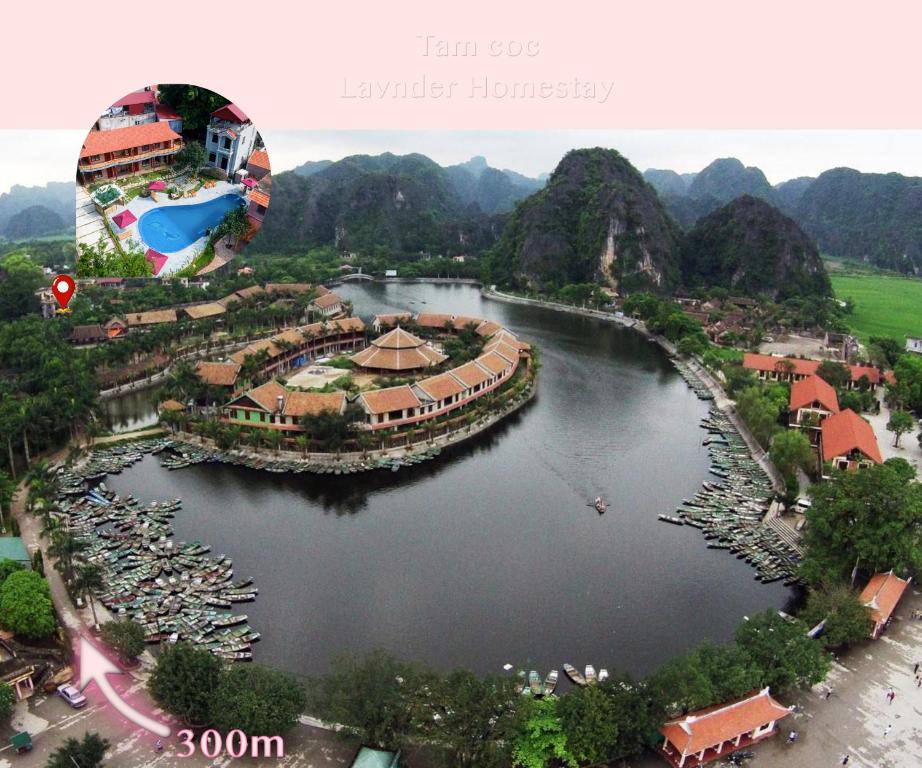 Tam Coc Lavender Homestay