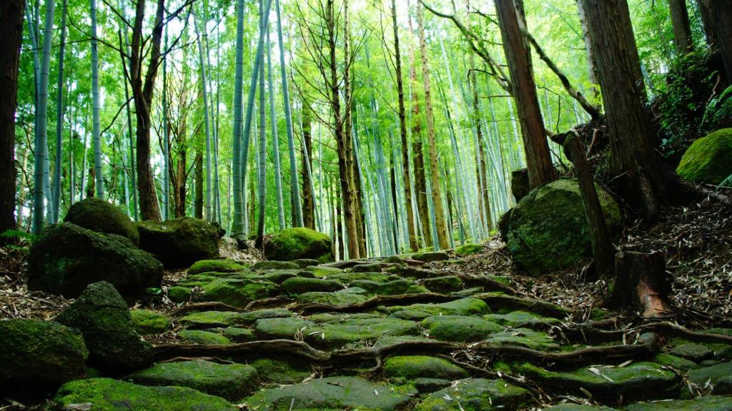 Resort Kumano Club thumbnail 2