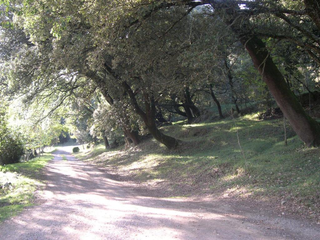 42012012