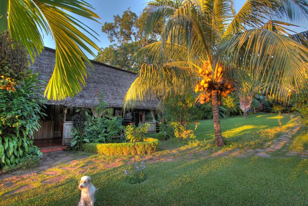 28 Dreamy Madagascar Hotels 16 Clair de Lune image