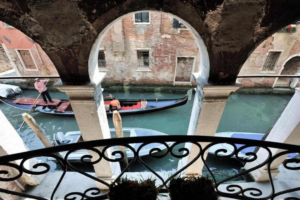 Red Rose, Venice, Italy