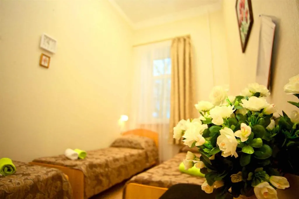 Ark Hostel, Kudrovo, Russia