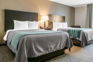 Comfort Inn & Suites Near Indiana Dunes State Park