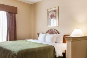Quality Inn & Suites Houma