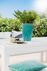 Tenuta Cardinale - foto 4