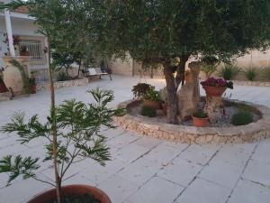 Le Anfore Del Salento - foto 6