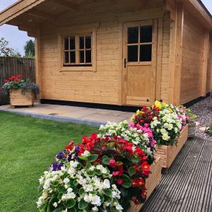 Cosy Log Cabin - The Dookit - Fife