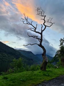 Coylet Inn by Loch Eck