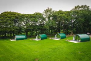 Thornfield Glamping Pods, The Dark Hedges, Ballycastle
