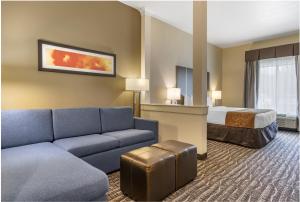 Comfort Suites Northwest Houston At Beltway 8