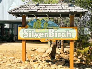 Silver Birch RockiesDirect