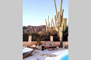 Desert Vibrations - A Private Retreat