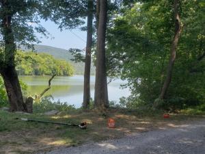 Tentrr Signature Site - Harpers Ferry - Potomac River View Campsite 2