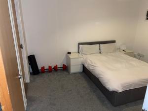 2 bed Apartment in Glasgow City Centre COP26