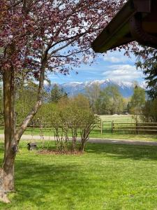 Swan Mountain View-Private Basement Suite/10 acres