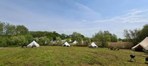 Personal Pitch Tent 6 Persons Glamping 37