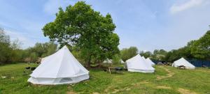 5 Meter Bell Tent - Up to 5 Persons Glamping 13
