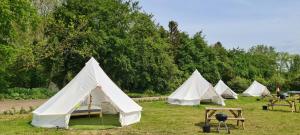 6 Meter Bell Tent - Up to 6 Persons Glamping 1