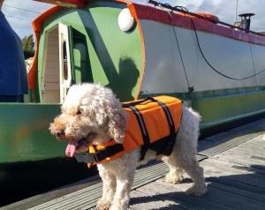 NEW 2022! Fixed stay characterful narrowboat at the Kelpies, Marigold Sunset