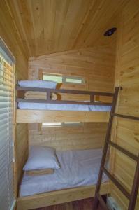 Oakzanita Springs Camping Resort Cottage 4